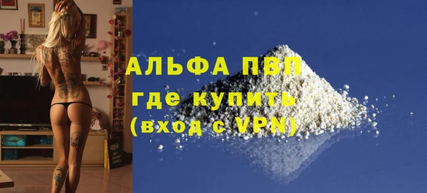гашик Инсар
