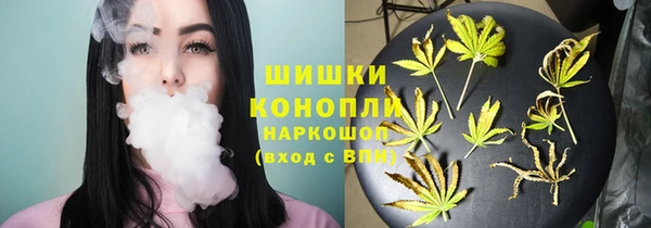 гашик Инсар
