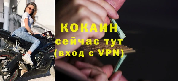 гашик Инсар