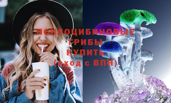 ECSTASY Инта
