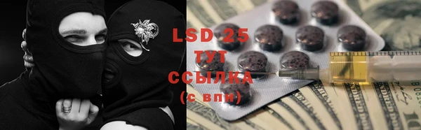 гашик Инсар