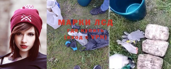 гашик Инсар