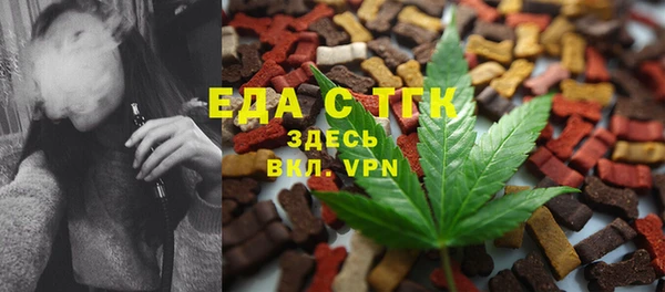гашик Инсар