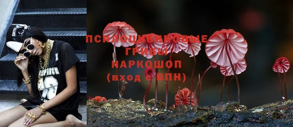гашик Инсар