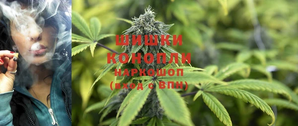 гашик Инсар