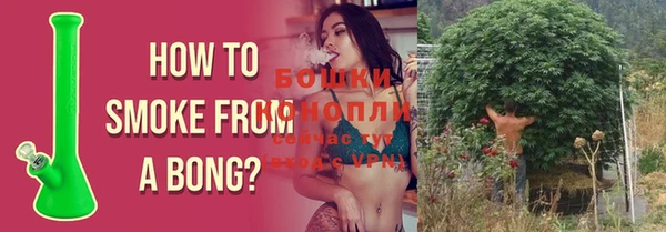 гашик Инсар
