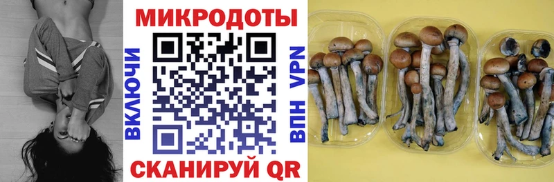 Галлюциногенные грибы Psilocybe  Купить закладки  Ивантеевка 